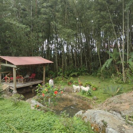 Finca Exclusividad Familiar O Grupo De Amigos Capacidad Hasta 12 Personas Calles En Placa Huella, Caminata Ecologica Alban  Eksteriør billede