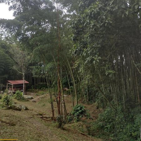 Finca Exclusividad Familiar O Grupo De Amigos Capacidad Hasta 12 Personas Calles En Placa Huella, Caminata Ecologica Alban  Eksteriør billede
