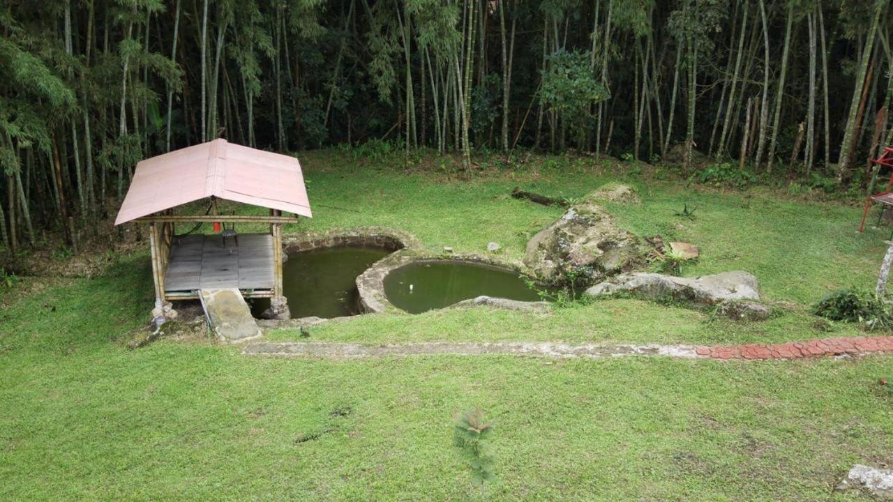Finca Exclusividad Familiar O Grupo De Amigos Capacidad Hasta 12 Personas Calles En Placa Huella, Caminata Ecologica Alban  Eksteriør billede