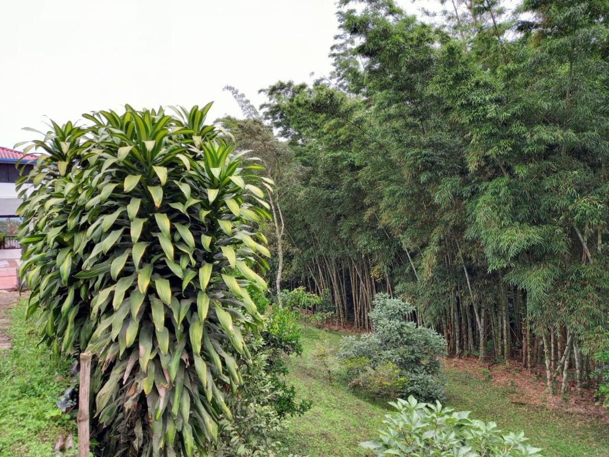 Finca Exclusividad Familiar O Grupo De Amigos Capacidad Hasta 12 Personas Calles En Placa Huella, Caminata Ecologica Alban  Eksteriør billede