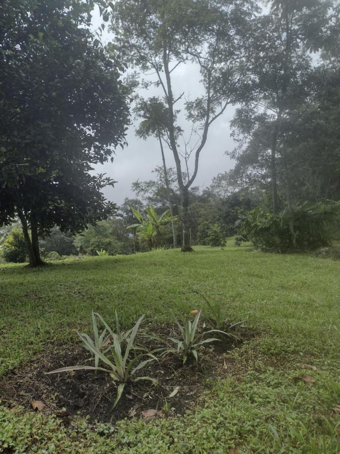Finca Exclusividad Familiar O Grupo De Amigos Capacidad Hasta 12 Personas Calles En Placa Huella, Caminata Ecologica Alban  Eksteriør billede
