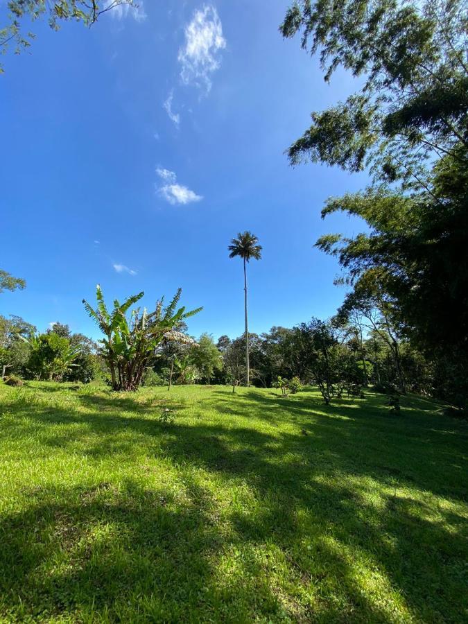 Finca Exclusividad Familiar O Grupo De Amigos Capacidad Hasta 12 Personas Calles En Placa Huella, Caminata Ecologica Alban  Eksteriør billede