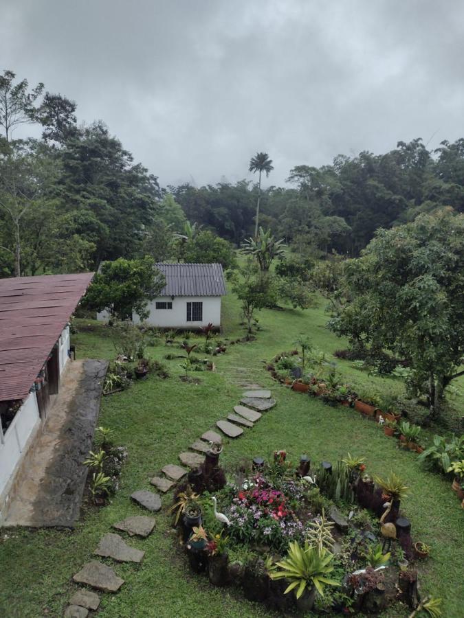 Finca Exclusividad Familiar O Grupo De Amigos Capacidad Hasta 12 Personas Calles En Placa Huella, Caminata Ecologica Alban  Eksteriør billede