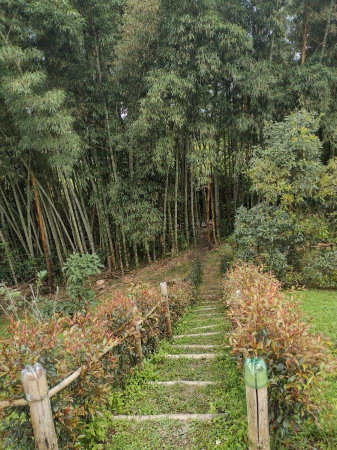 Finca Exclusividad Familiar O Grupo De Amigos Capacidad Hasta 12 Personas Calles En Placa Huella, Caminata Ecologica Alban  Eksteriør billede