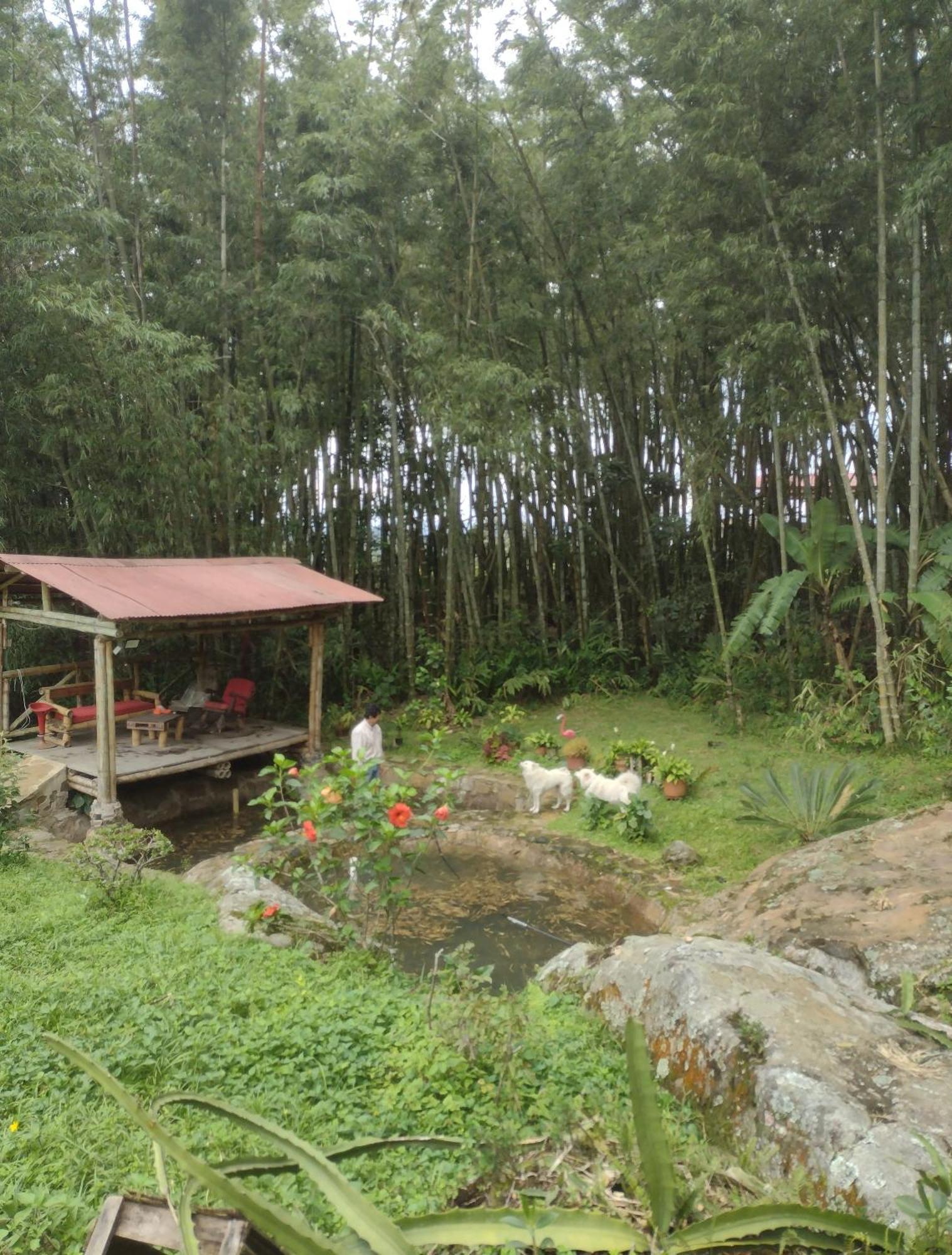 Finca Exclusividad Familiar O Grupo De Amigos Capacidad Hasta 12 Personas Calles En Placa Huella, Caminata Ecologica Alban  Eksteriør billede